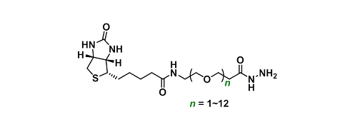 Biotin-hydrazide