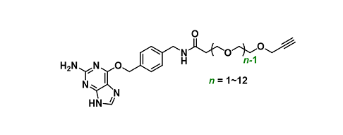 Alkyne-PEGn-SNAP