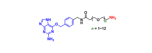 BG(O6-Benzylguanine)